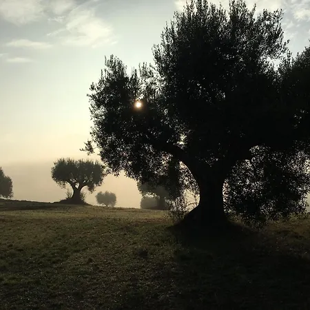 Pensionat In House - Historic House With Swimming Pool, Barbecue, Gym In Senigallia - The Girasole *