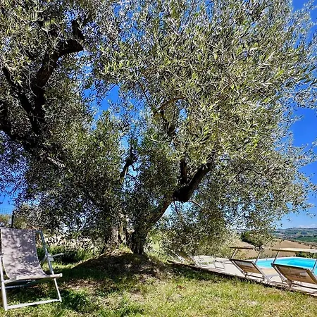 The Girasole In Historic With Pool In Guest house Senigallia