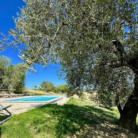In House - Historic House With Swimming Pool, Barbecue, Gym In Senigallia - The Girasole Senigallia